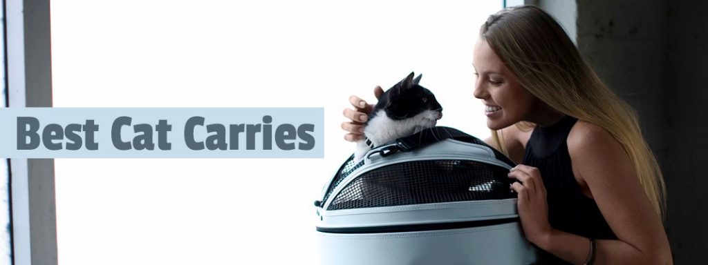 Cat Carriers Thumbnail