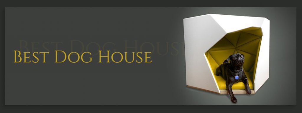 Dog House Thumbnail