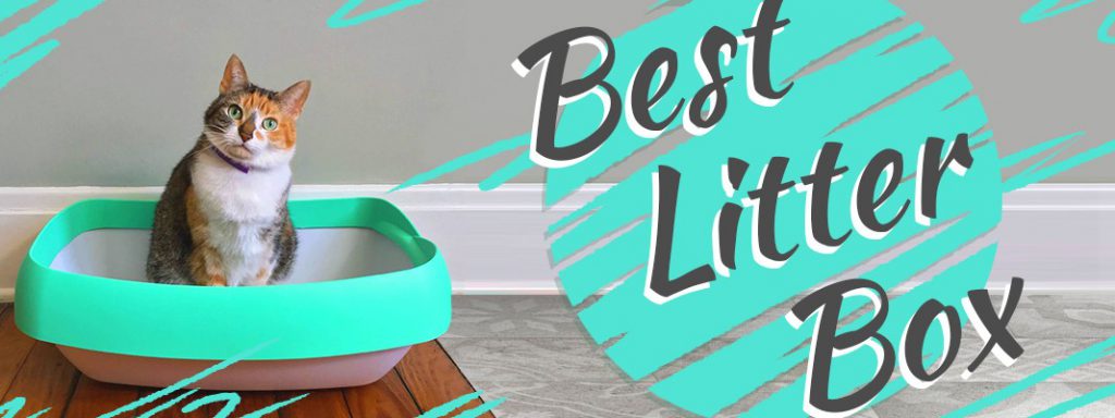 Best Litter Box Thumbnail