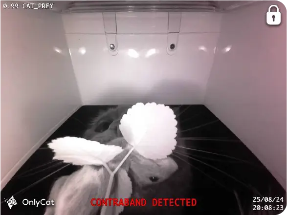 OnlyCat prey detection example in cat flap app