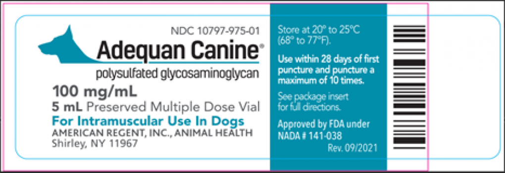The Dog Arthritis Injection Recall Detail to Check Before Your Next Refill Thumbnail