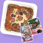 The Years Dog Food Recall Detail Owners Should Check Before Reordering Thumbnail