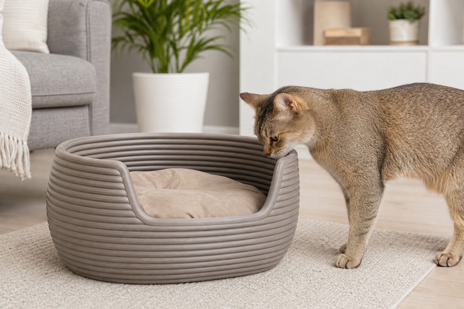 The 3D-Printed Cat Bed Deal That Can Become Expensive Decor