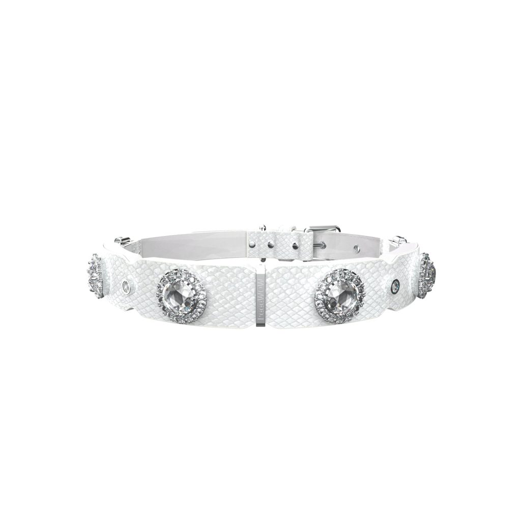 The PaaaWOW Smart Dog Collar Deal That Needs a Subscription Check Thumbnail
