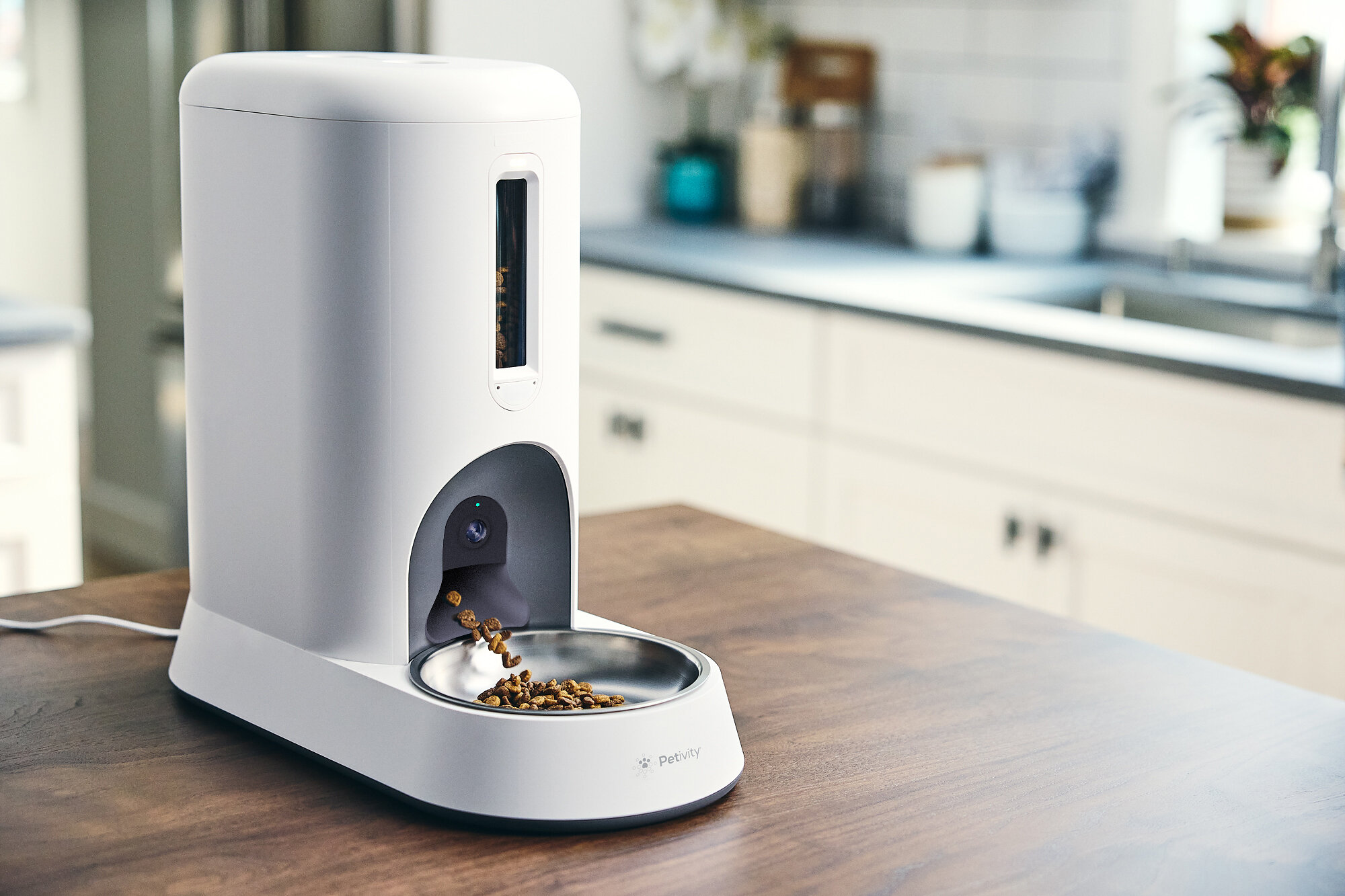 Petivity Smart Feeder for Cats dispensing dry kibble into a bowl