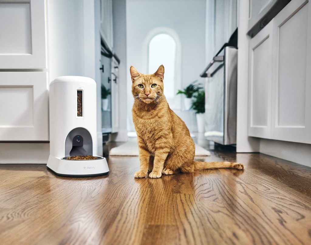 The New Petivity Cat Feeder Claim To Check Before AI Counts Dinner Thumbnail